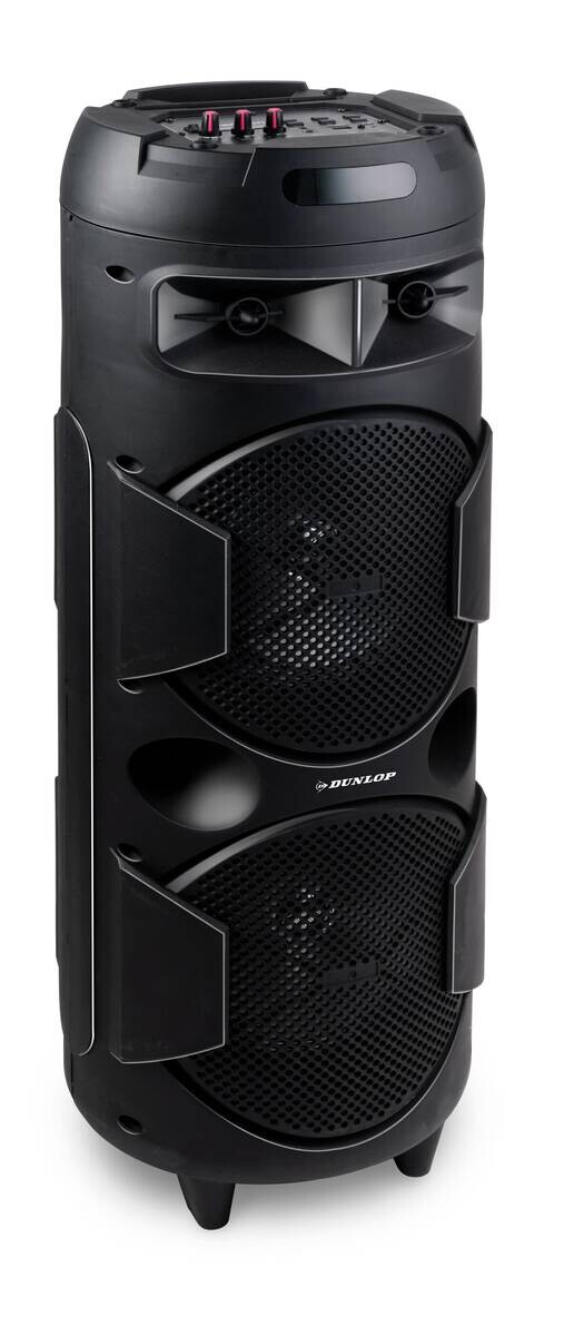 Dunlop Lautsprecher MW-538 H/D: ca. 80x28 cm