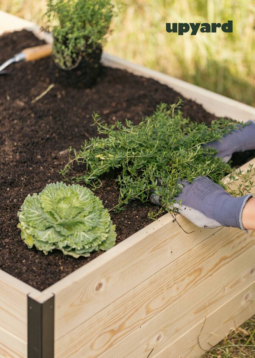 UPYARD Hochbeet MODERN natur Holz B/H/L: ca. 80x40x120 cm