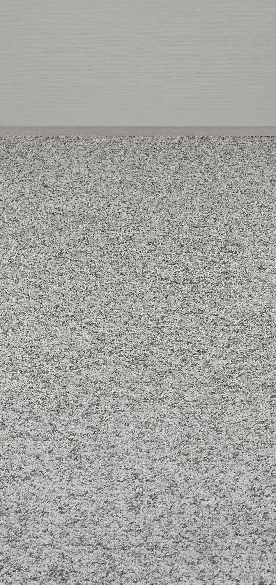 Teppichboden Ohio grau B: ca. 400 cm pro m²