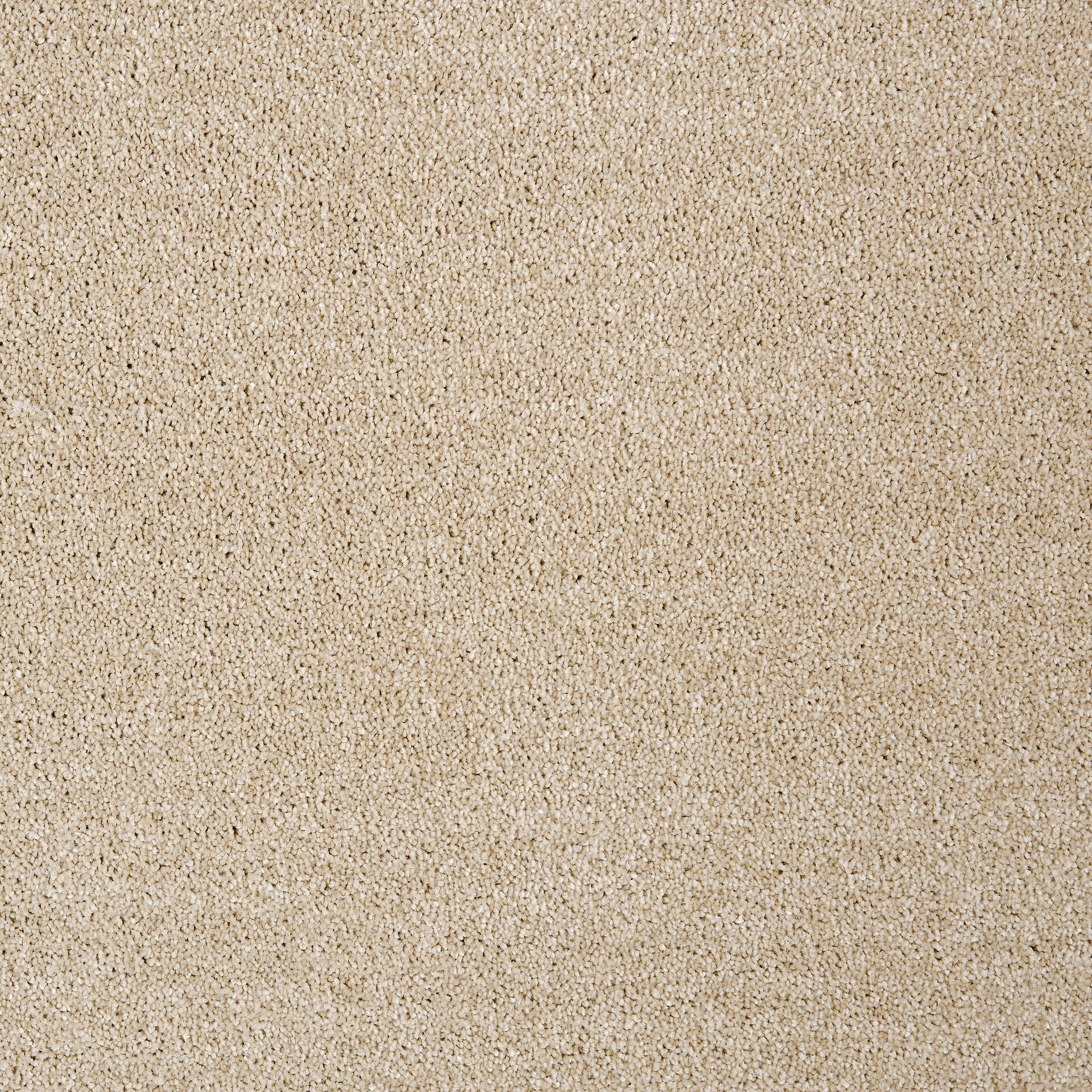 Teppichboden Nobilis beige B: ca. 500 cm pro m²