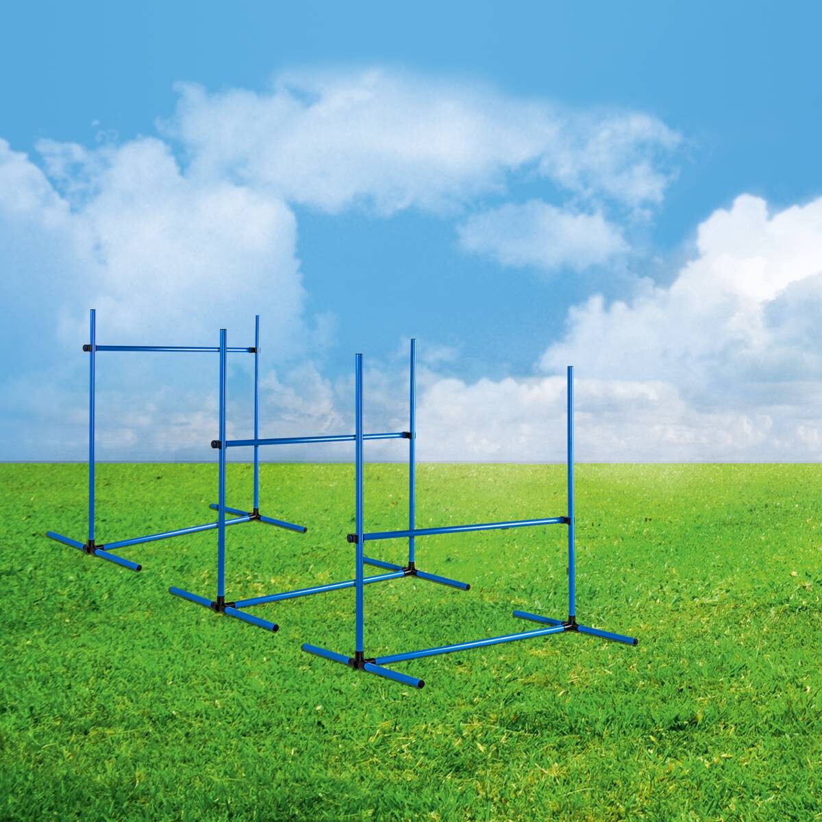 HI Agility Hürdenset blau Kunststoff B/H/L: ca. 65x95x95 cm
