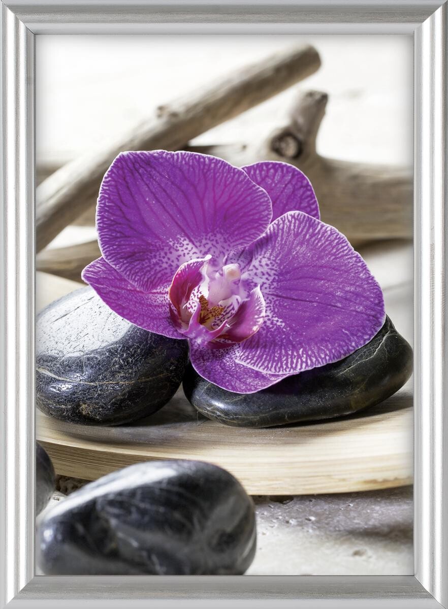 The Wall Bilderrahmen silber Kunststoff B/L: ca. 40x50 cm