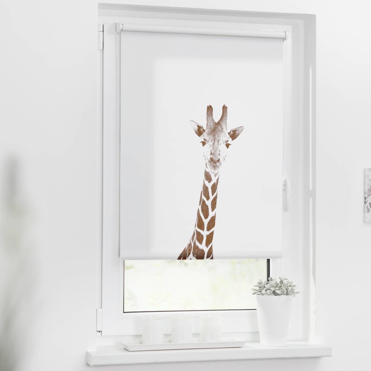 LICHTBLICK Rollo Giraffe braun B/L: ca. 70x150 cm
