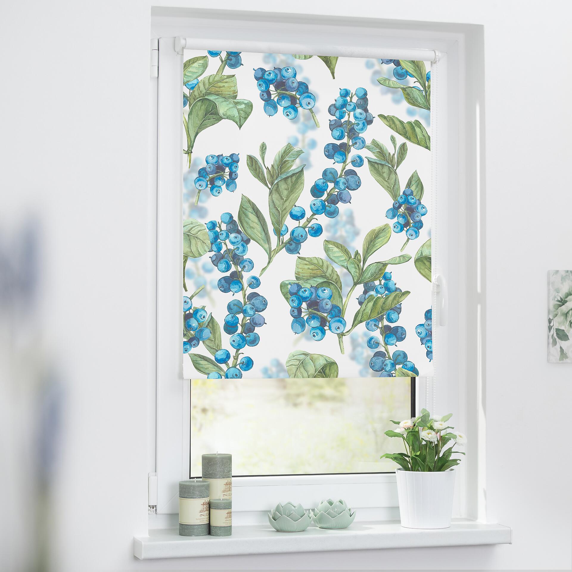 LICHTBLICK Rollo Heidelbeere grün B/L: ca. 45x150 cm