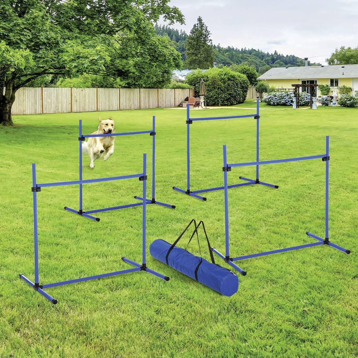 PawHut Agility Hürdenset blau Kunststoff B/H/L: ca. 65x95x95 cm