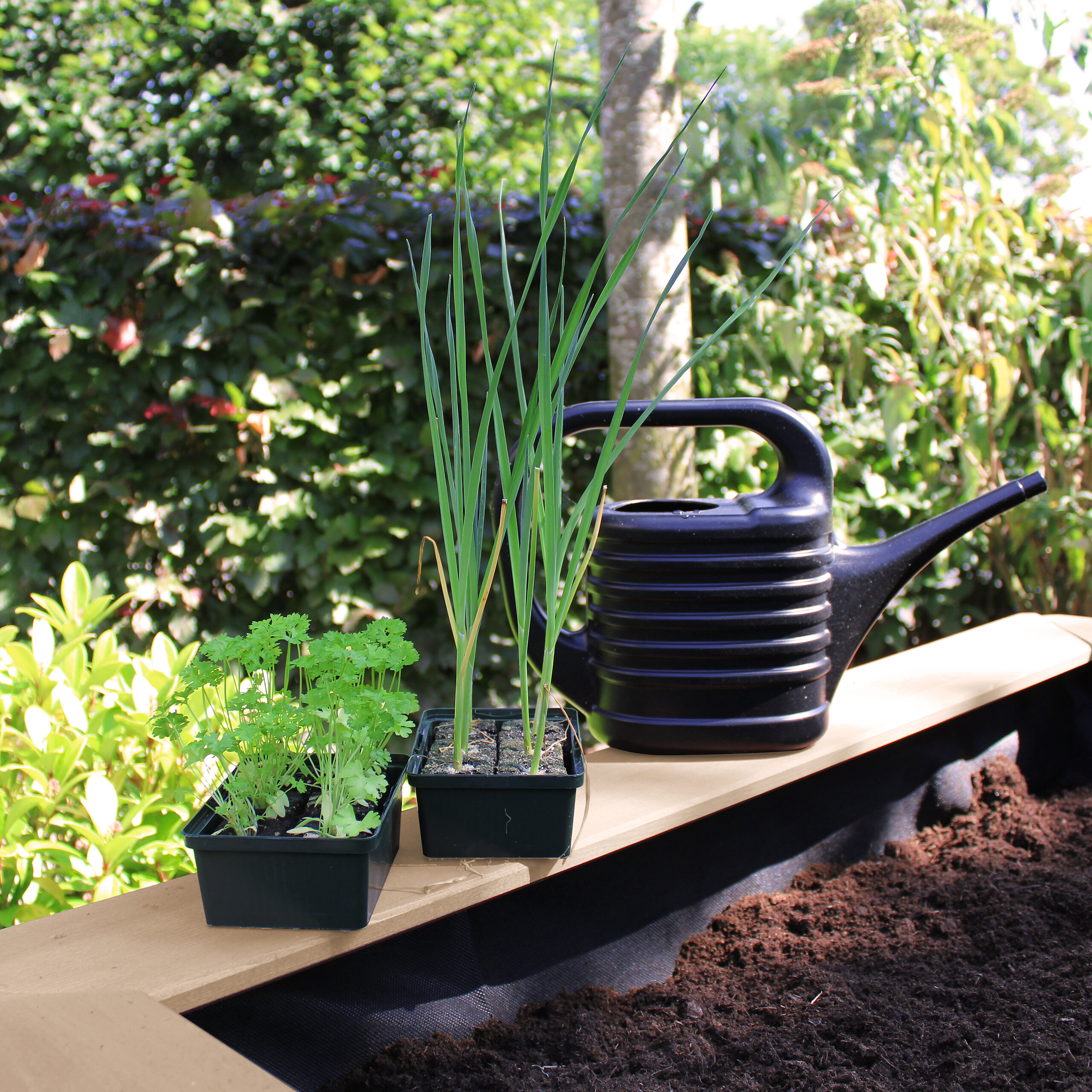 AXI Hochbeet Linda B/H/L: ca. 94x50x125 cm