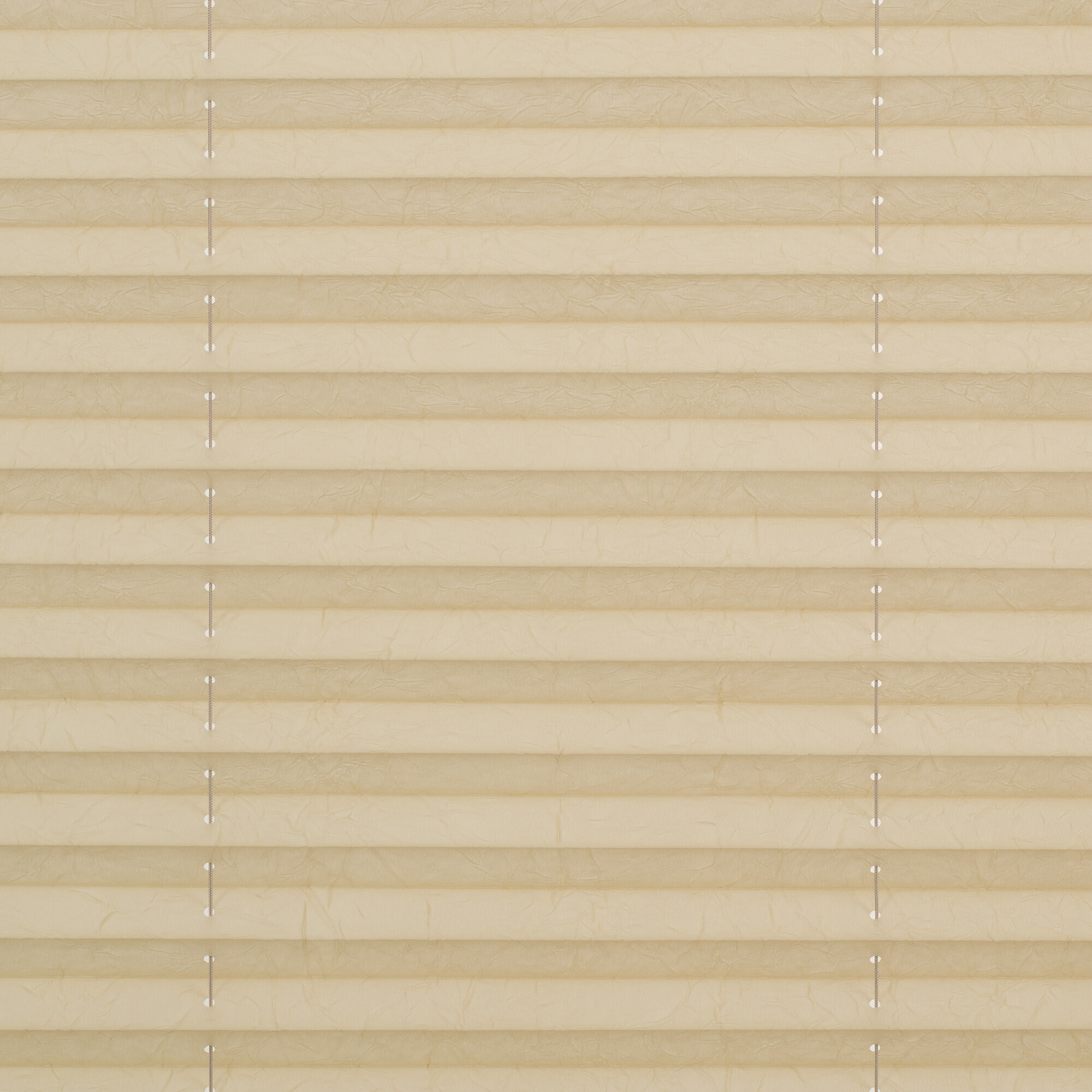 LICHTBLICK Spannplissee creme B/L: ca. 95x130 cm