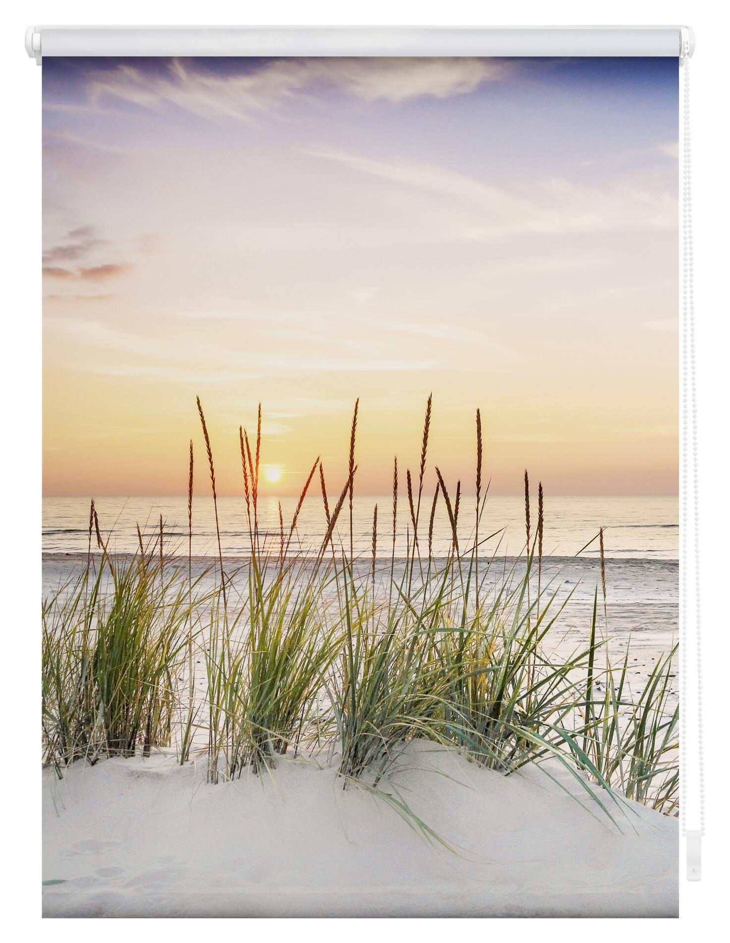 LICHTBLICK Verdunkelungsrollo Nordseestrand weiß B/L: ca. 70x150 cm