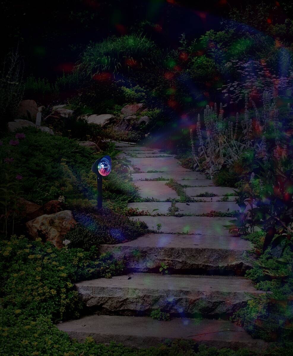 LED-Weihnachtsartikel 5169961 schwarz H/D: ca. 31x10 cm