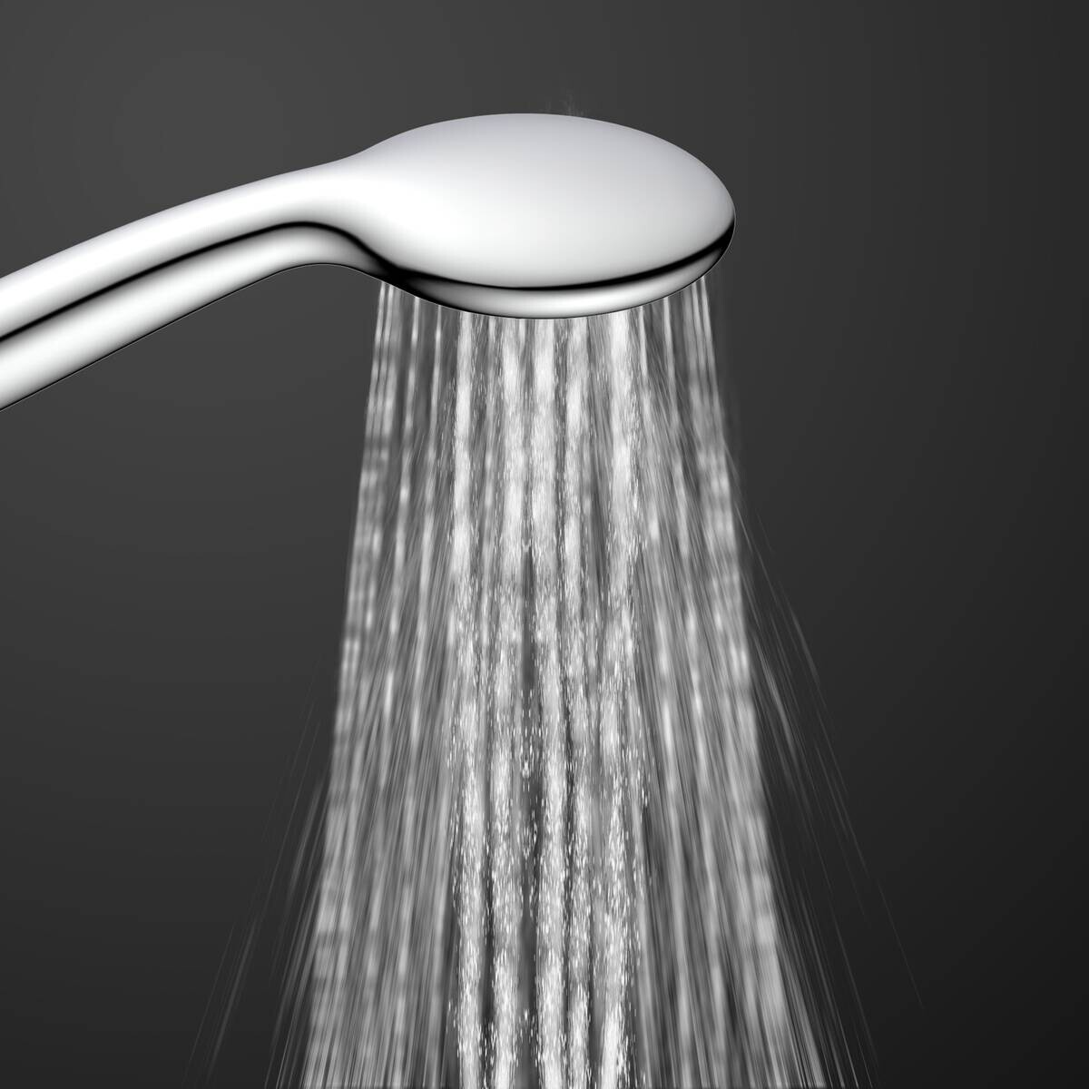 Eisl Handbrause-Set Leon Chrom