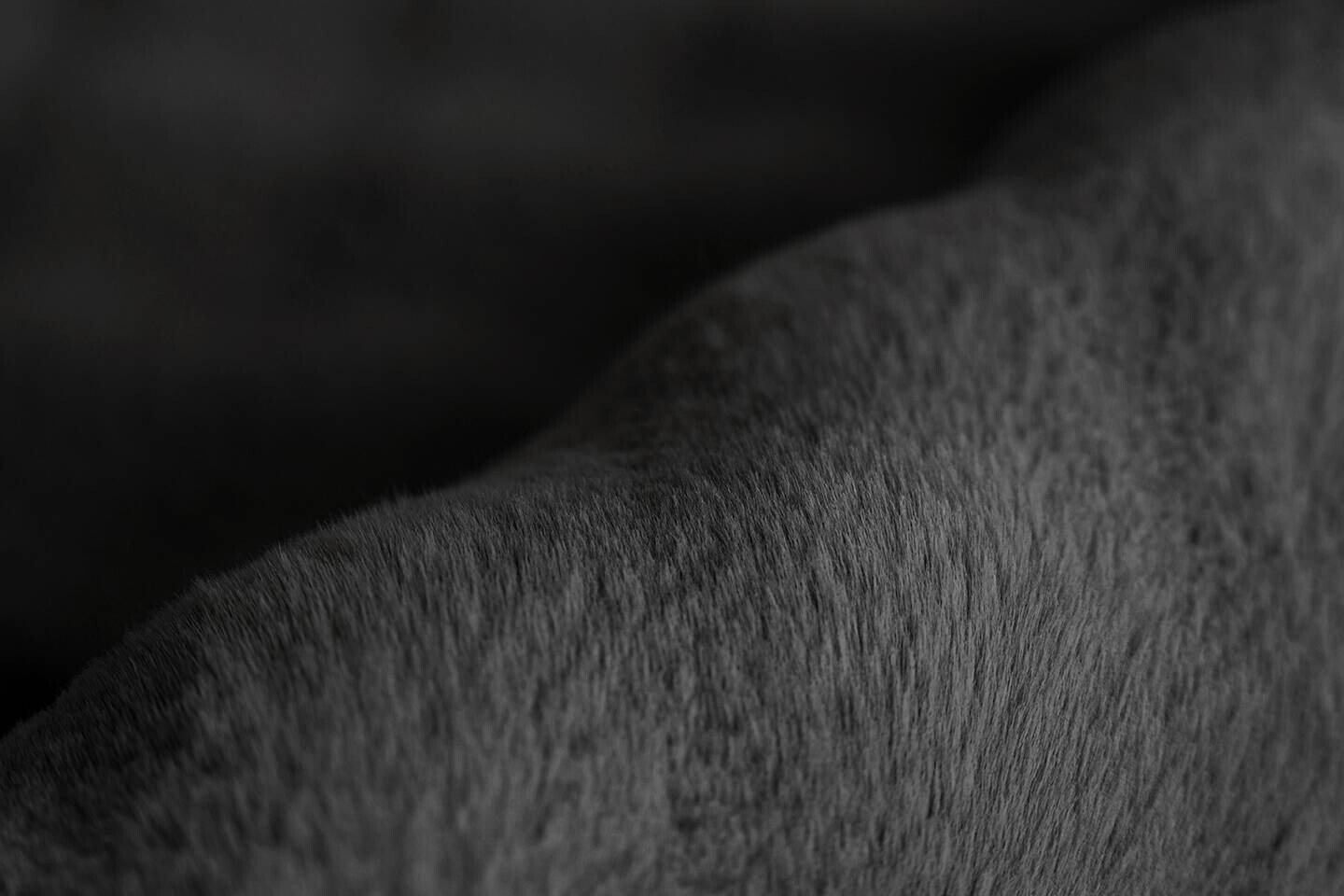 Padiro Hochflorteppich Hailey 125 schwarz B/H/L: ca. 80x3x150 cm