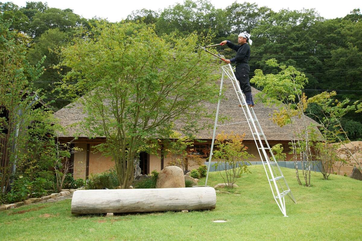 Niwaki Gartenleiter 3-Holm 3-Holm silber B/H: ca. 147x300 cm