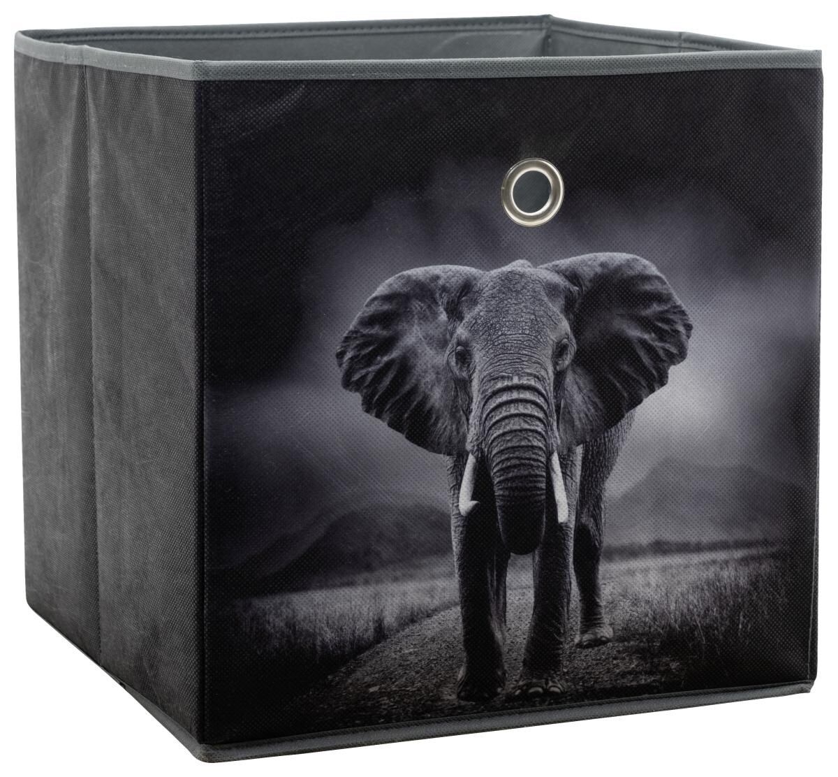 Motivbox Wildlife anthrazit B/H/T: ca. 32x32x32 cm