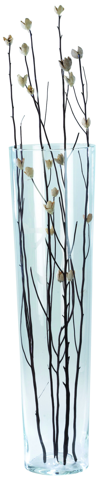 Vase klar Glas B/H/L: ca. 19x70x19 cm