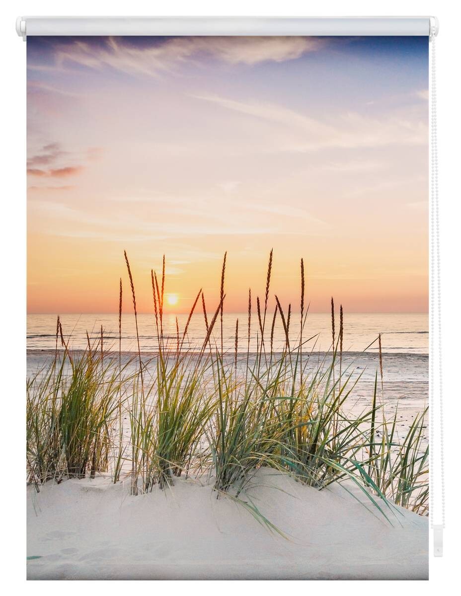 LICHTBLICK Rollo Nordseestrand weiß B/L: ca. 100x150 cm