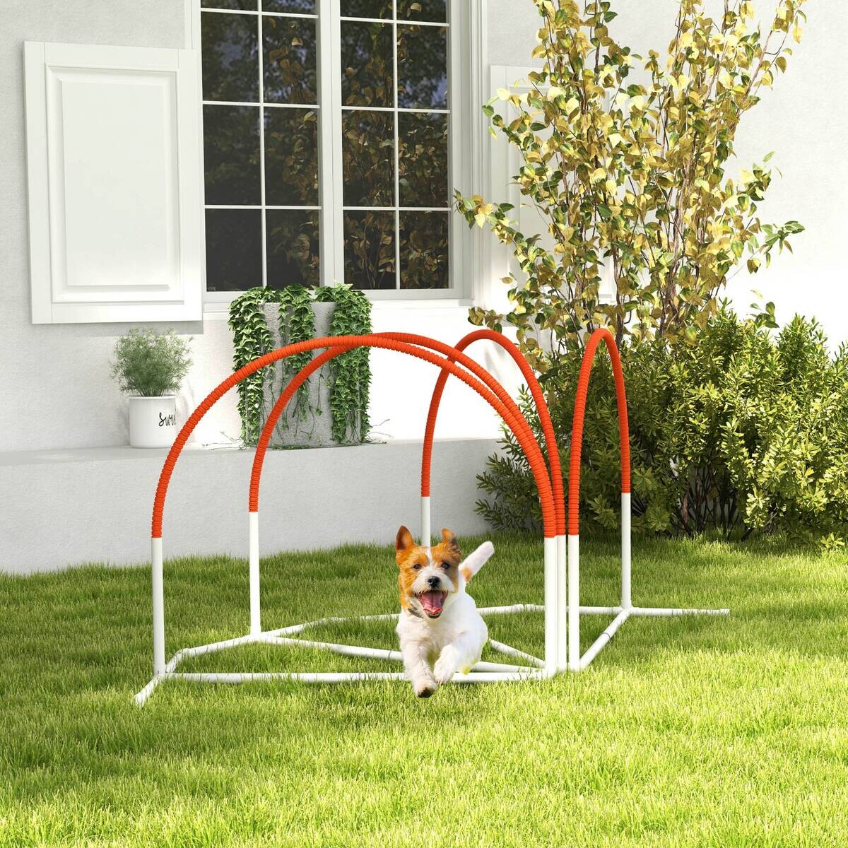 PawHut Hunde-Agility-Set weiß Kunststoff B/H/L: ca. 69x99x89 cm
