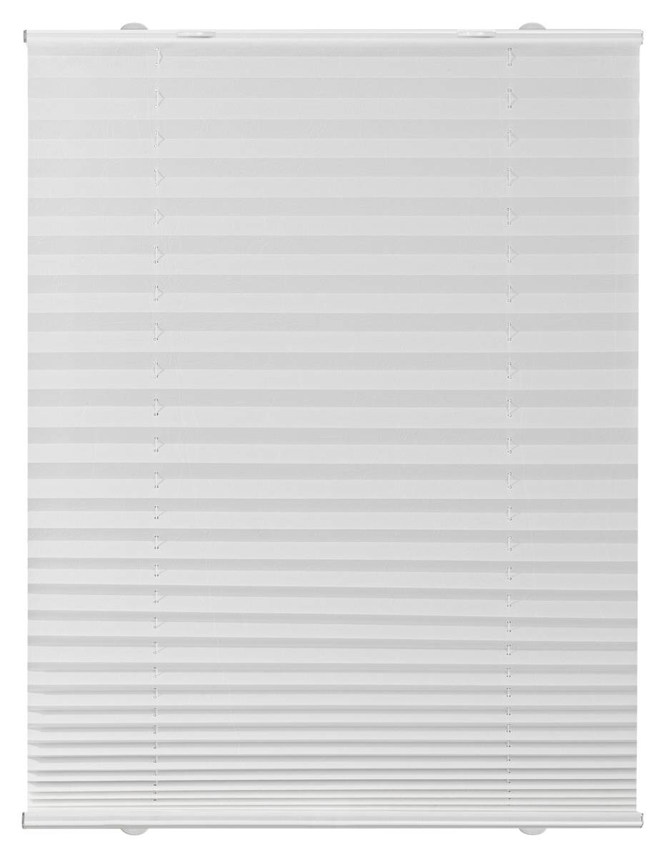 LICHTBLICK Spannplissee weiß B/L: ca. 55x130 cm