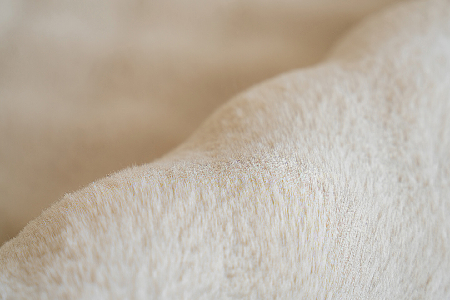 Padiro Hochflorteppich Hailey 125 creme B/H/L: ca. 200x3x290 cm