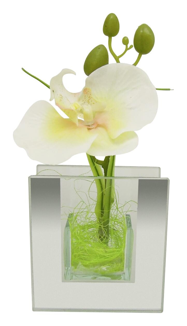POCOline Vase klar Glas B/H/L: ca. 4x9x8,5 cm