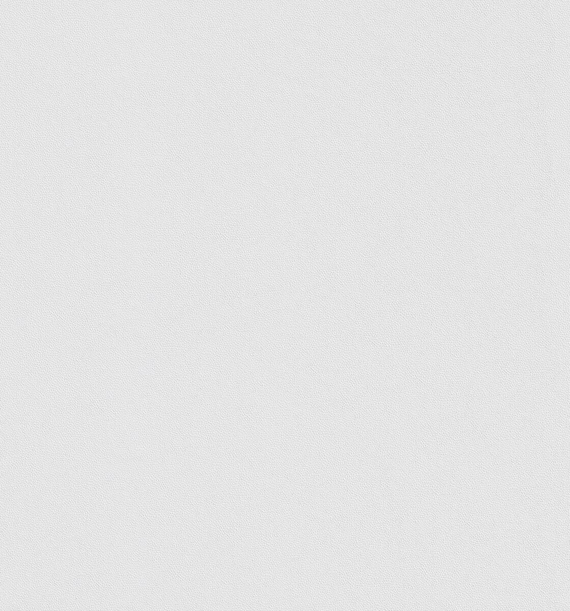 Erfurt Vliestapete Basic 106 weiß B/L: ca. 53x1005 cm