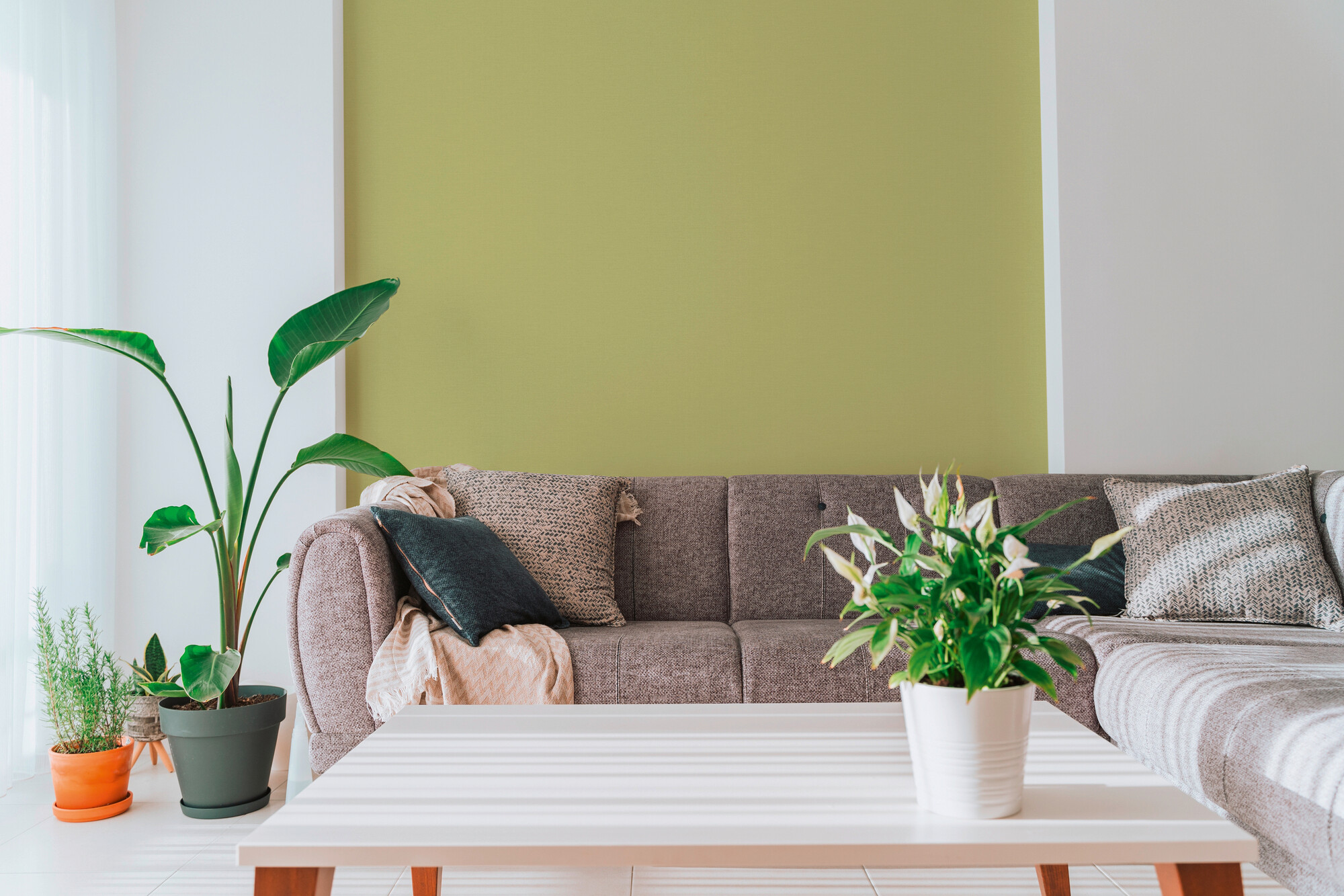 A.S.Creation Vliestapete grün B/H/D: ca. 53x1005x8,3 cm