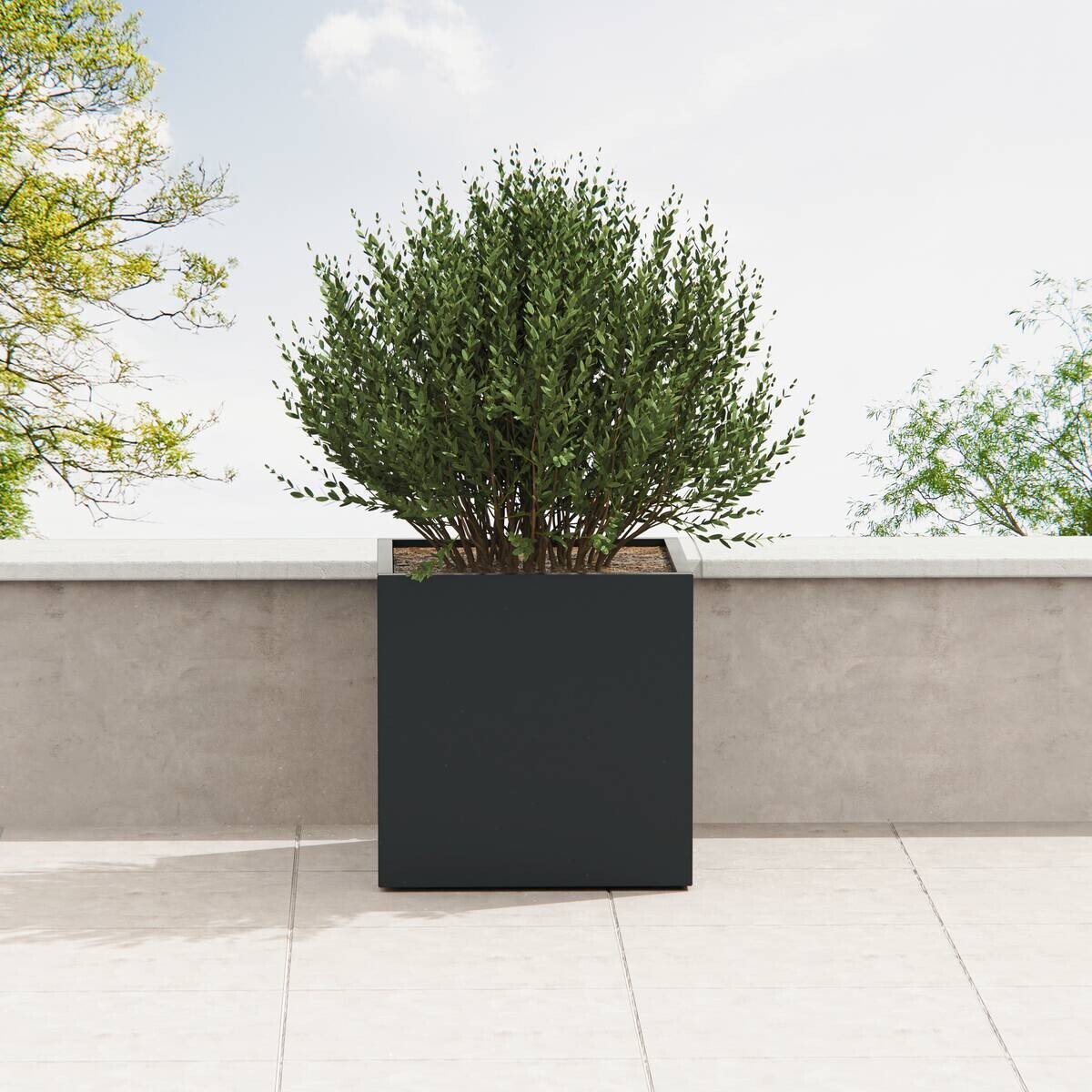 Herstera Garden Pflanzkübel Cube anthrazit Metall B/H/L: ca. 80x80x80 cm