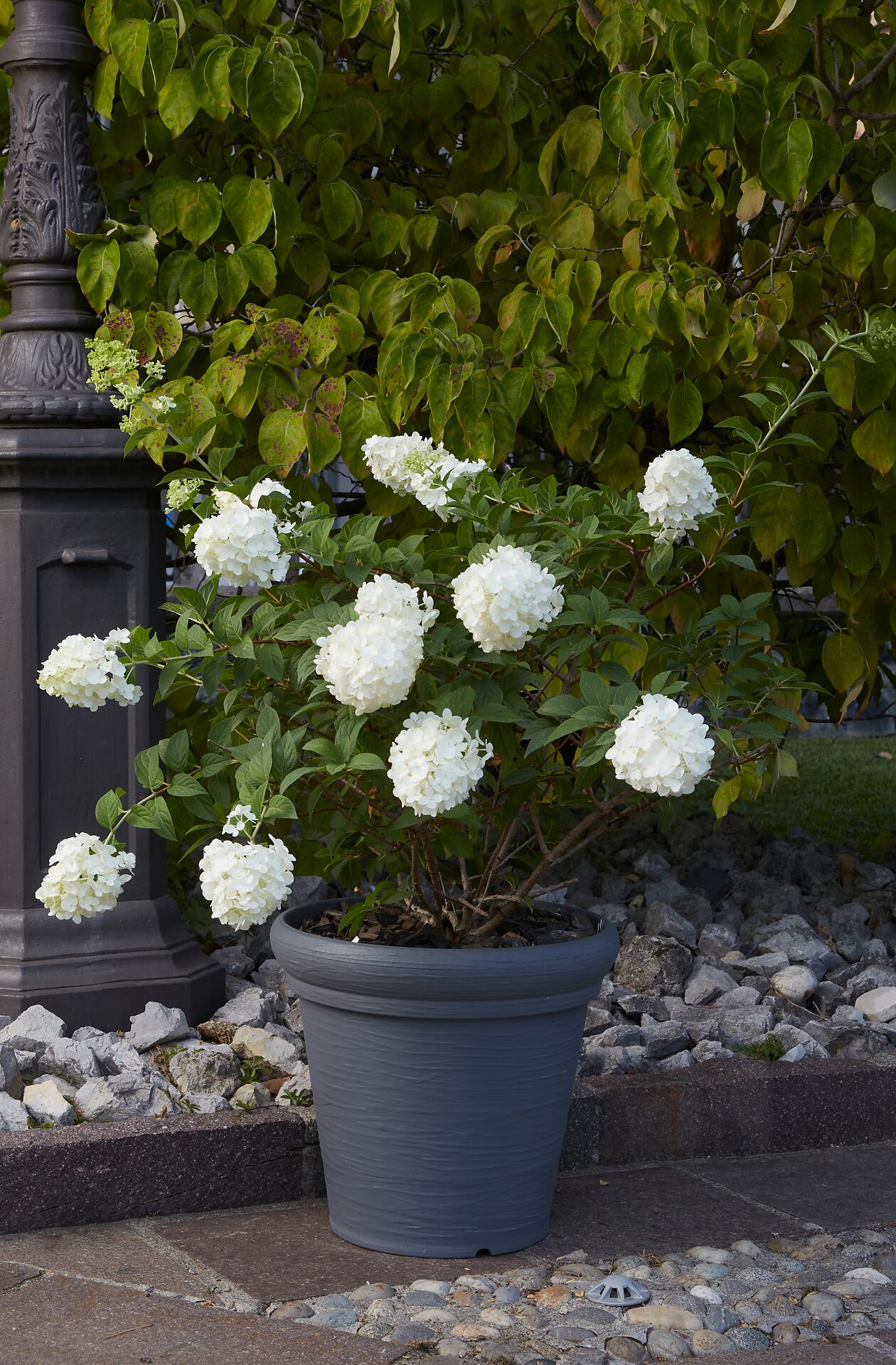 ProGarden Pflanztopf grau Kunststoff H/D: ca. 35x38 cm