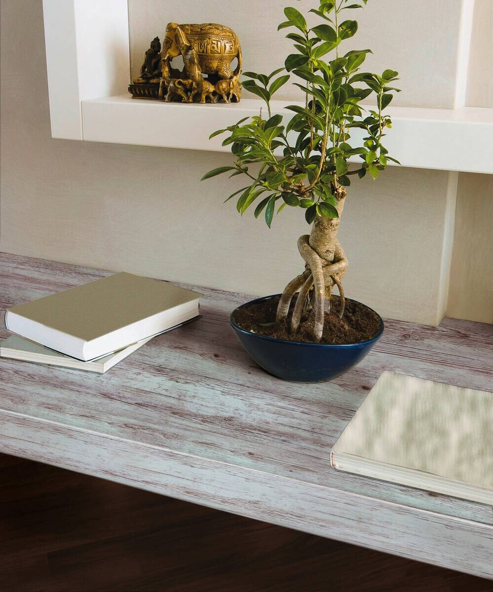 d-c-fix Dekofolie Holzoptik hellbeige B/L: ca. 90x210 cm