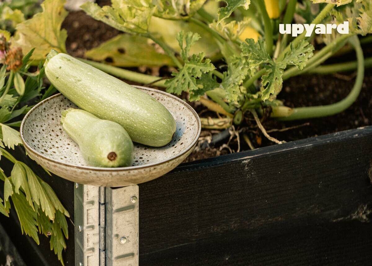 UPYARD Hochbeet INDUSTRIAL schwarz Holz B/L: ca. 80x120 cm