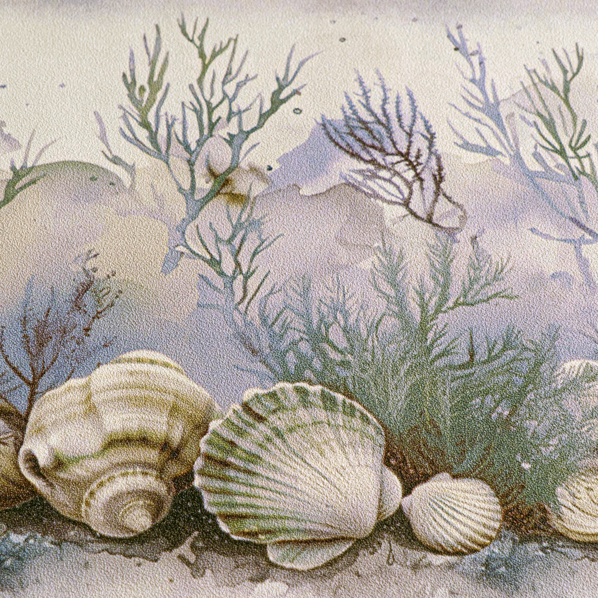 A.S.Creation Bordüre blau beige B/H/D: ca. 17x500x6,8 cm