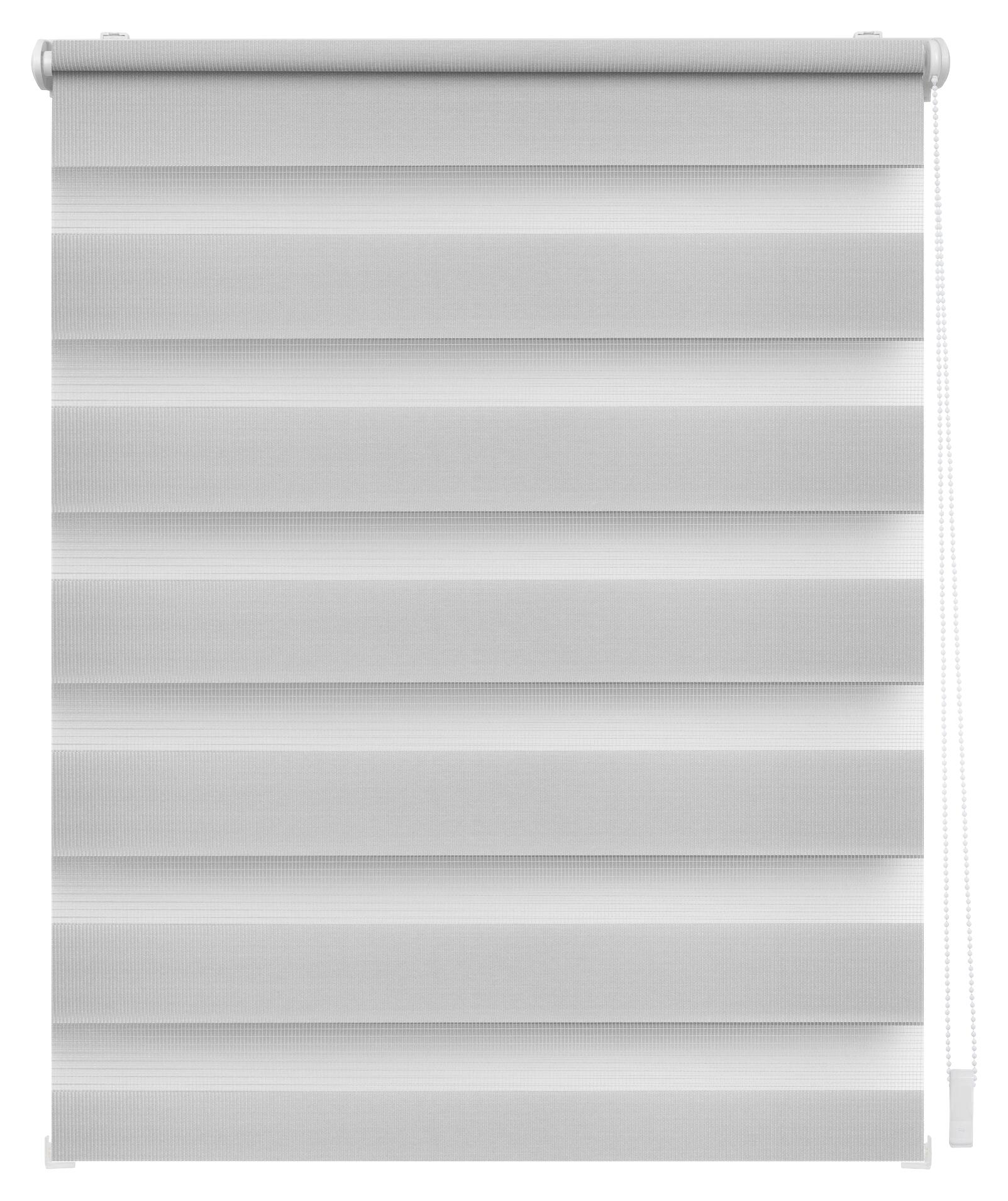 LICHTBLICK Doppelrollo Duo grau B/L: ca. 90x220 cm