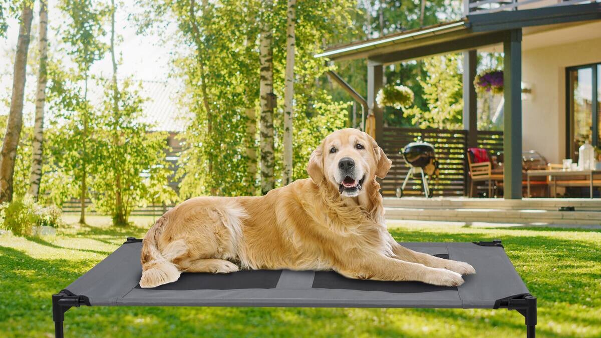 Pet Comfort Haustierbett grau Polyester B/H/L: ca. 106x17x76 cm