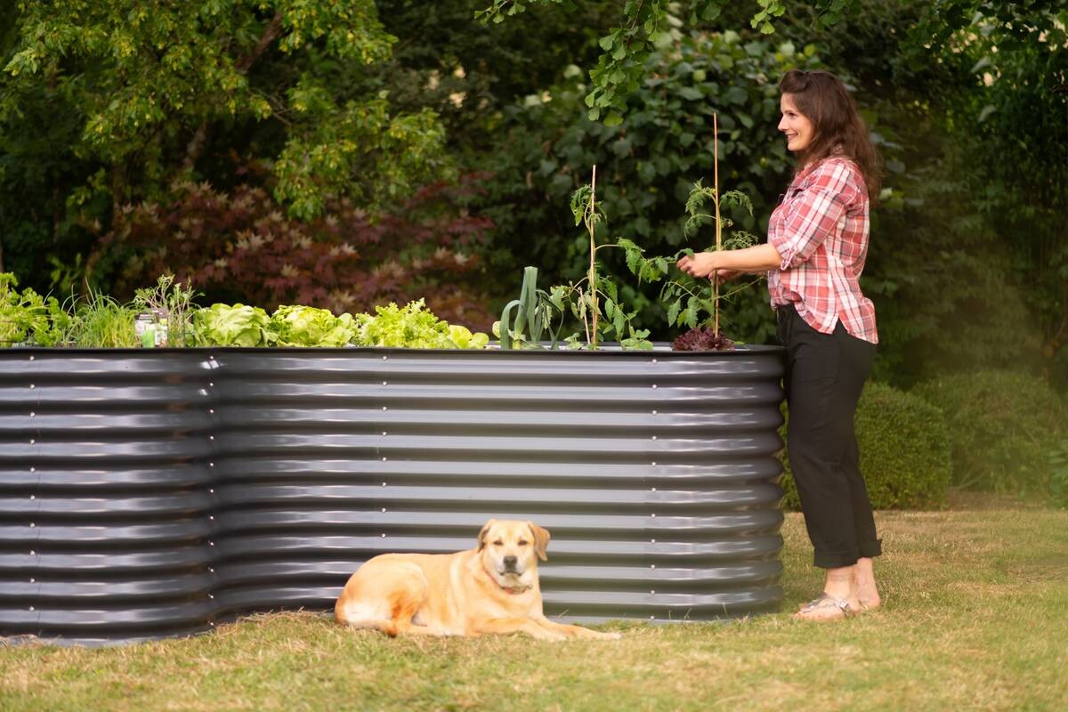 Westmann Hochbeet Grow Faster anthrazit Stahl B/H/L: ca. 160x82x240 cm