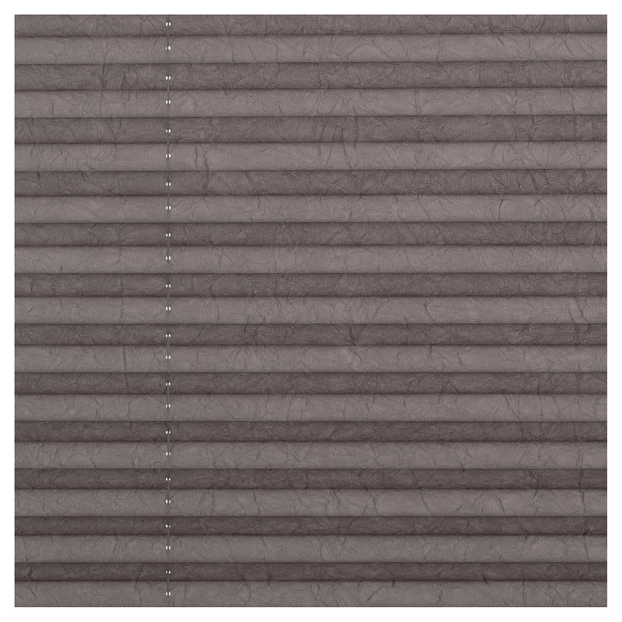 LICHTBLICK Spannplissee taupe B/L: ca. 70x210 cm