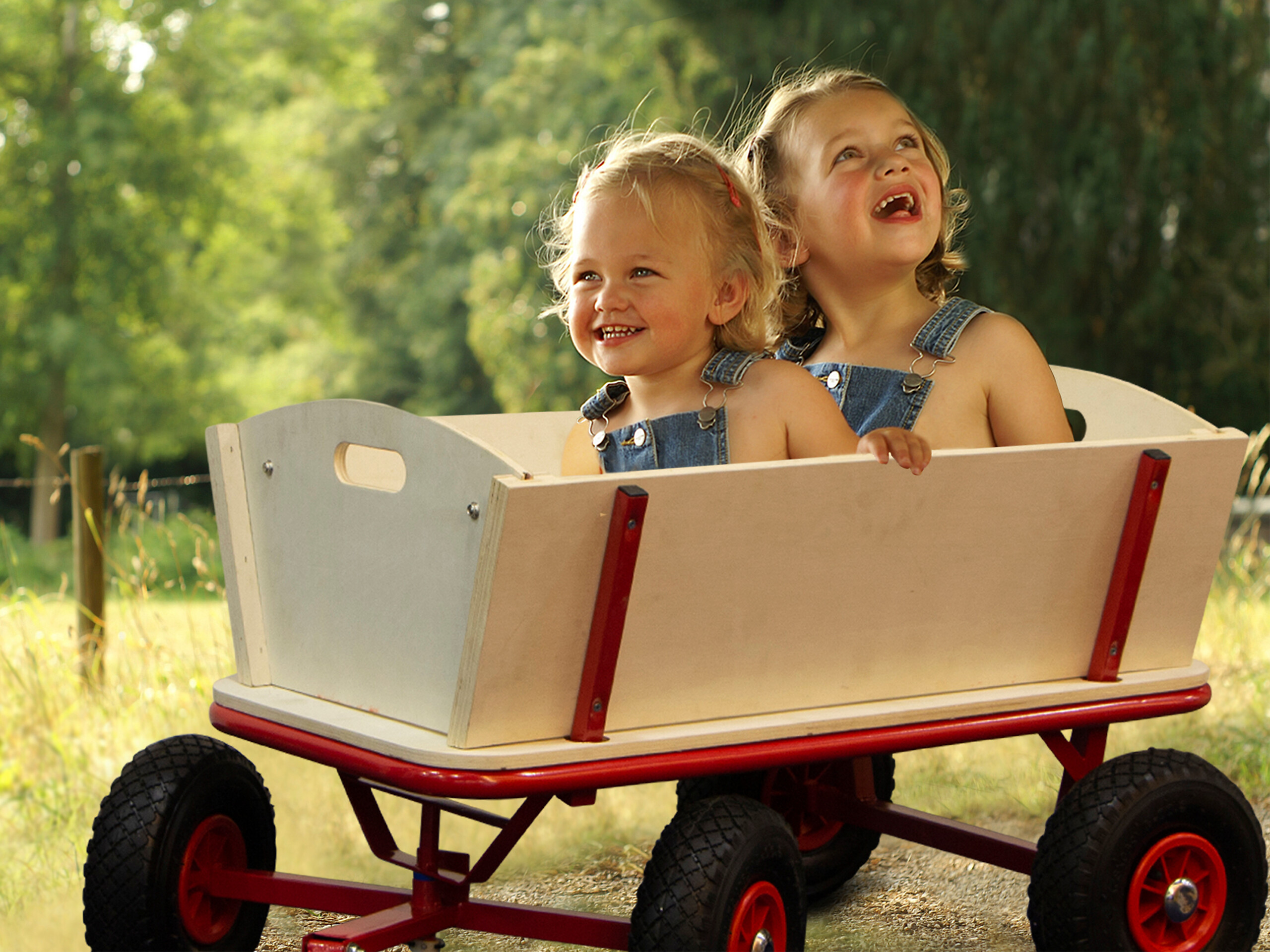 Sunny Bollerwagen Billy Beach rot B/H/L: ca. 61x97x95 cm