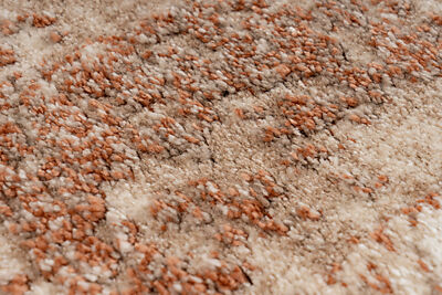 Thumbnail - Obsession Teppich My Bologna terracotta B/L: ca. 60x110 cm